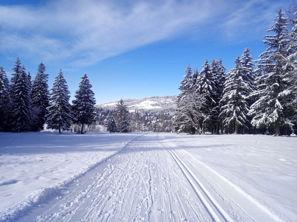 Cross-country ski opportunities in Zakopane