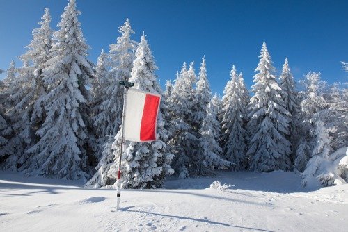 polish flag on a ski slope