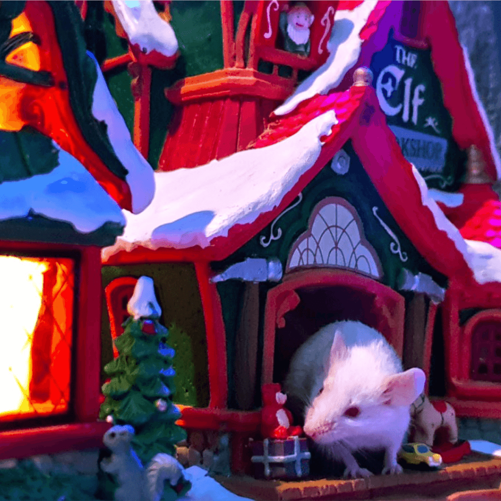 Visit the Mouse House (can it get any cuter_)