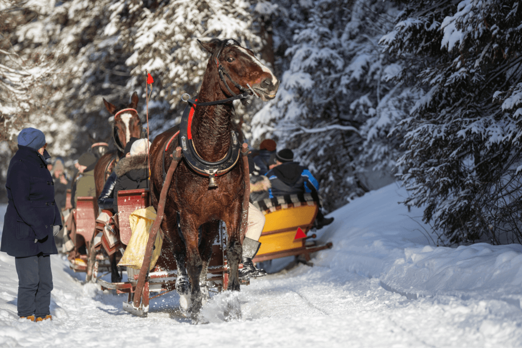 Kulig Horse Sleigh Rides