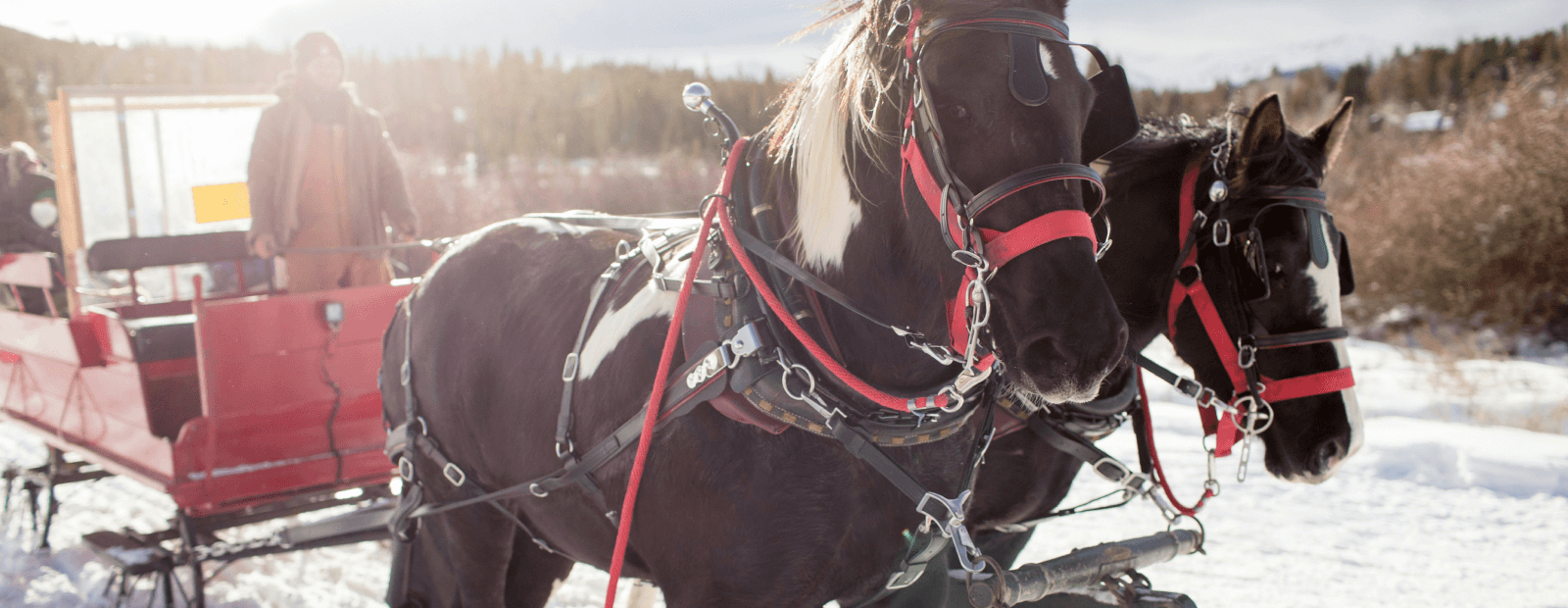 Read more about the article 30+ Things To Do in Zakopane, Poland (in the Winter)