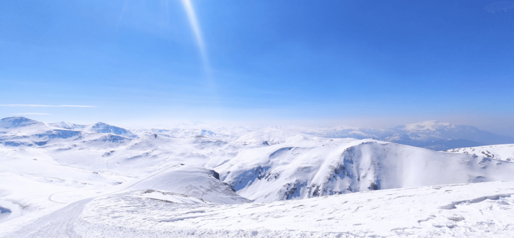 WhatsApp Image 2022-08-24 at 09.12.11 1