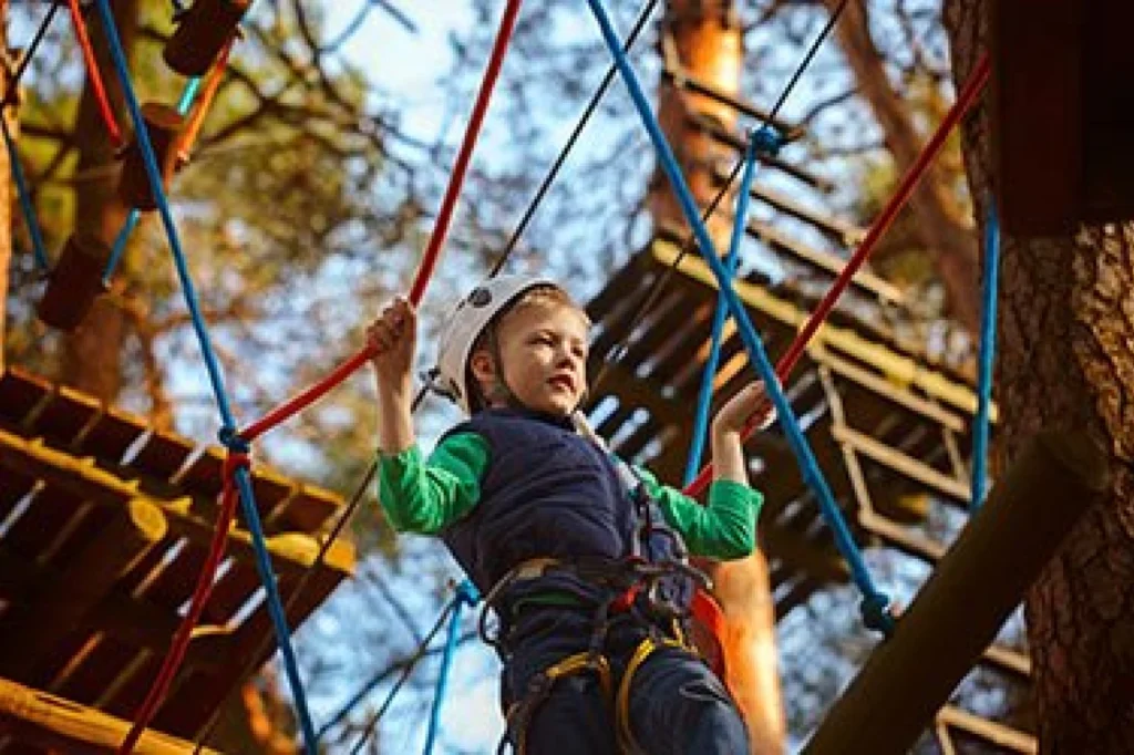 Climbing Attraction Park