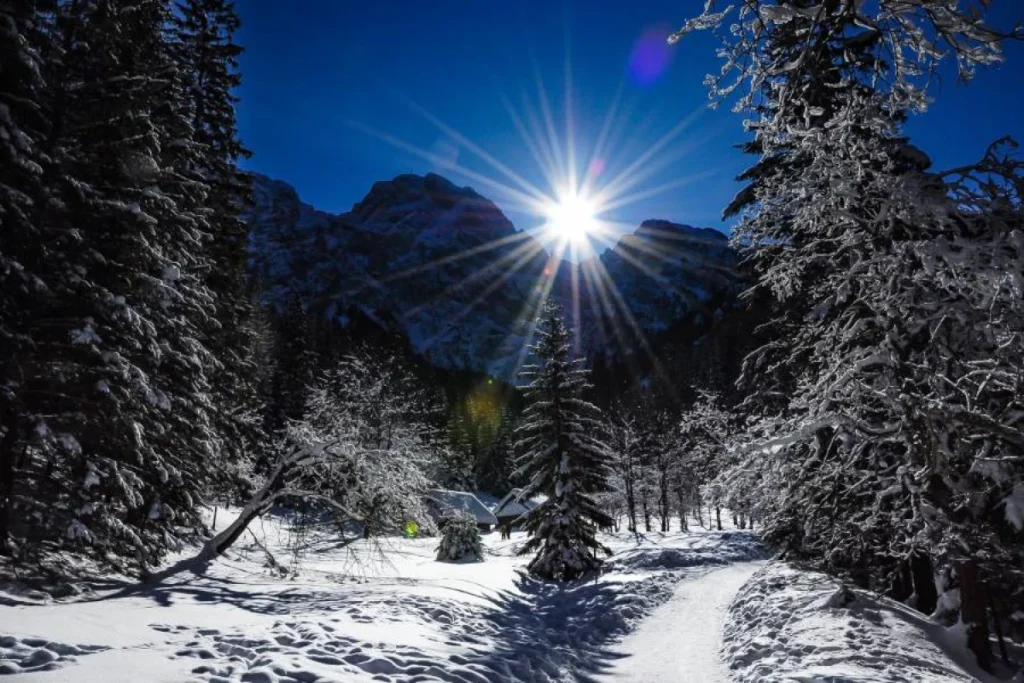 Strążyska Valley & Siklawica Waterfall