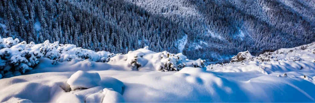 Zakopane Winter Hiking Guide: Best Trails & Activities