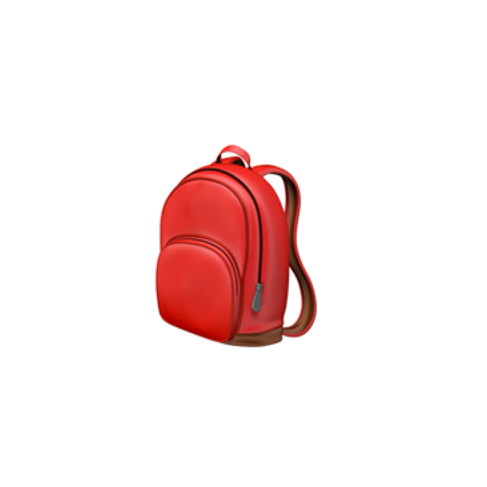 Avalanche Safety Equipment