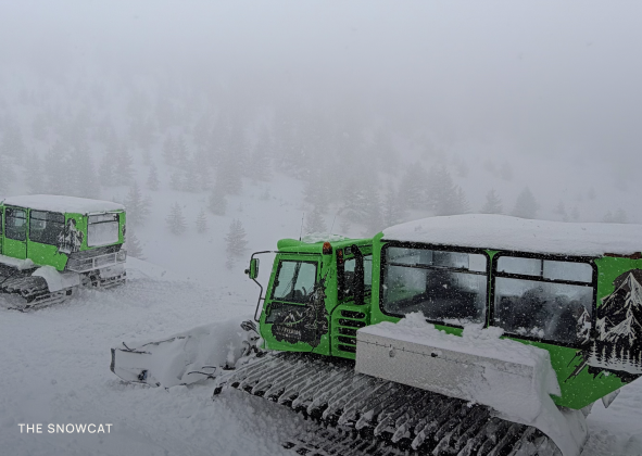 Untouched Powder_