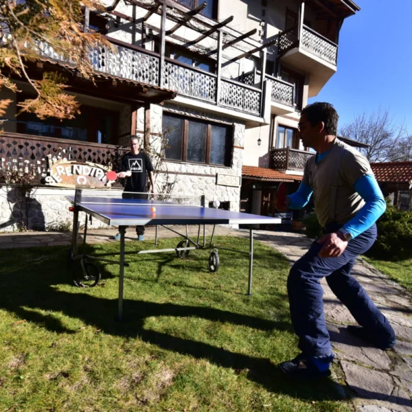 Chalet table tennis